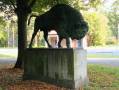Wisent Eilenriede