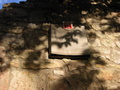 Stadttafel Stadtmauer